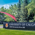 卡尔加里大学